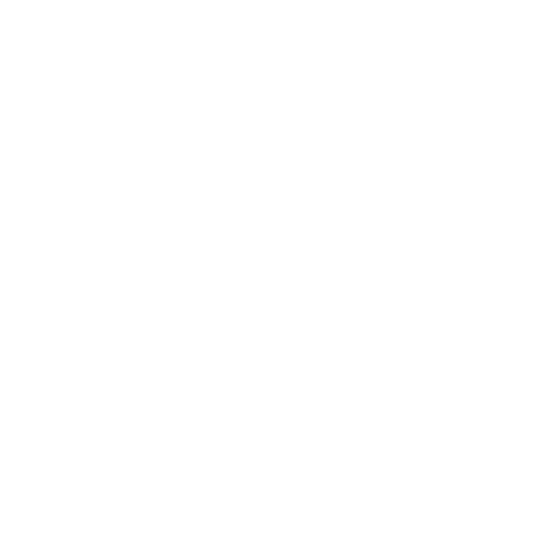 MediaMNarkt Icon Financing